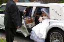 184 Gerhard (Large)